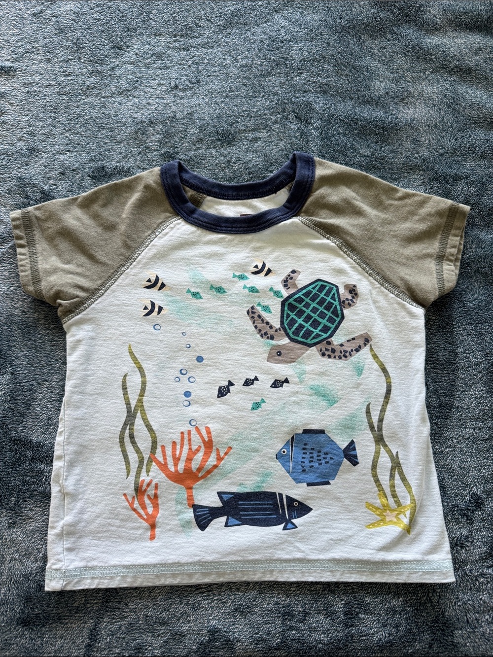 Tea Collection Light Blue Tee with Olive Raglan Sleeves and Navy Trim